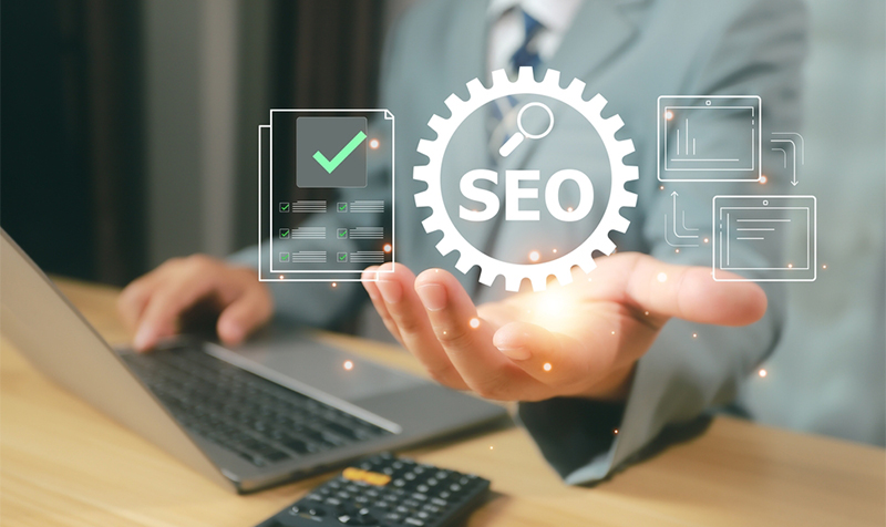 SEO for WordPress Service